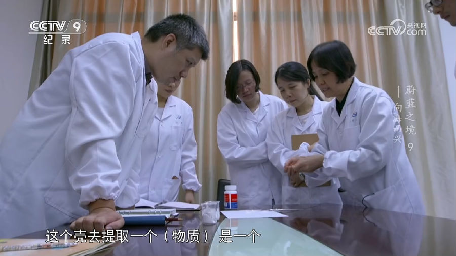 火了！第6次上岸央视！_媒体关注_BCK体育